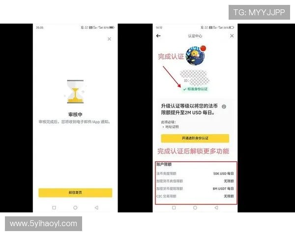全面解析USDT区块查询网站的功能与使用指南